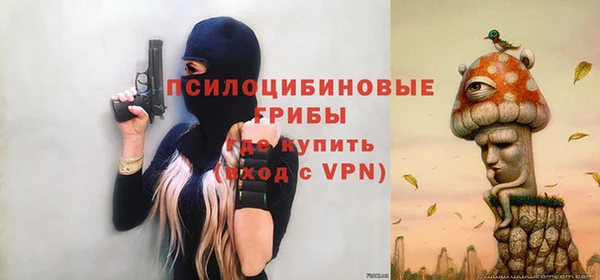 прущий лед Вязники