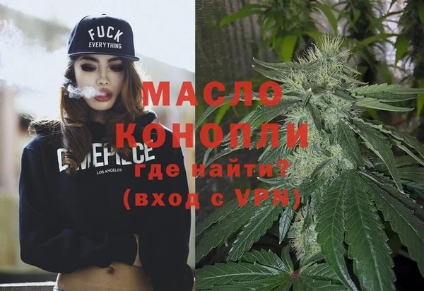 индика Вязьма