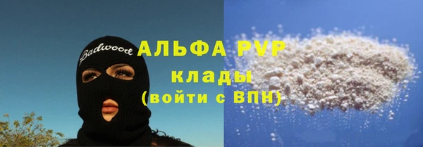 ПСИЛОЦИБИНОВЫЕ ГРИБЫ Вяземский
