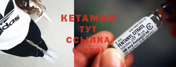 индика Вязьма