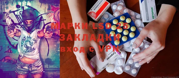 ПСИЛОЦИБИНОВЫЕ ГРИБЫ Вяземский