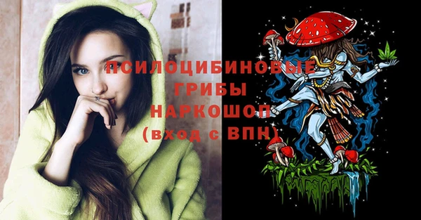 индика Вязьма