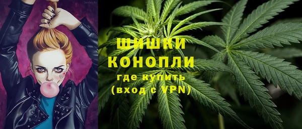 индика Вязьма