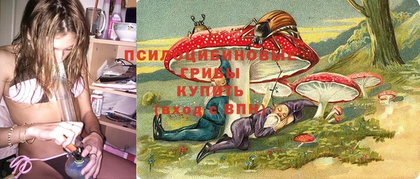 индика Вязьма