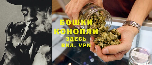 ПСИЛОЦИБИНОВЫЕ ГРИБЫ Вяземский