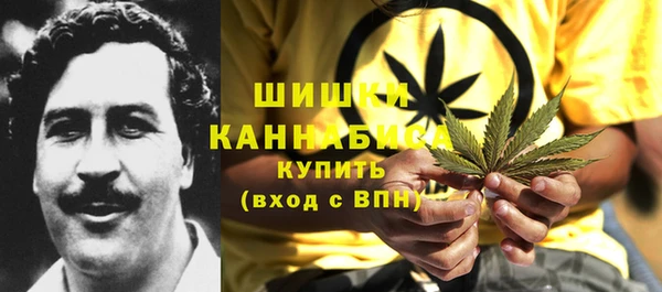 индика Вязьма