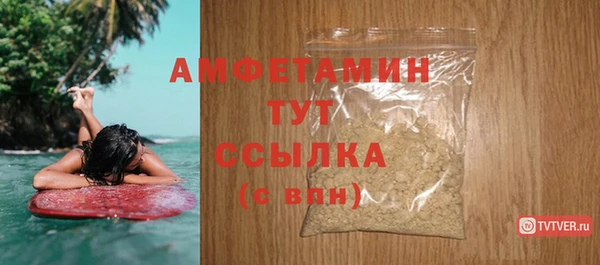 индика Вязьма